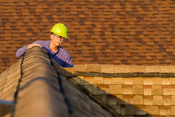 Best Roof Repair Services  in Lemay, MO